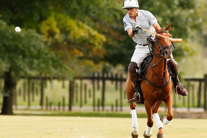 Ultimate Buenos Aires Polo Day Trip & Luxury Experience