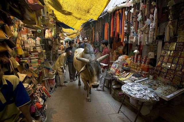 Assi to Manikarnika Walking Tour: Varanasi Ghats & Lanes