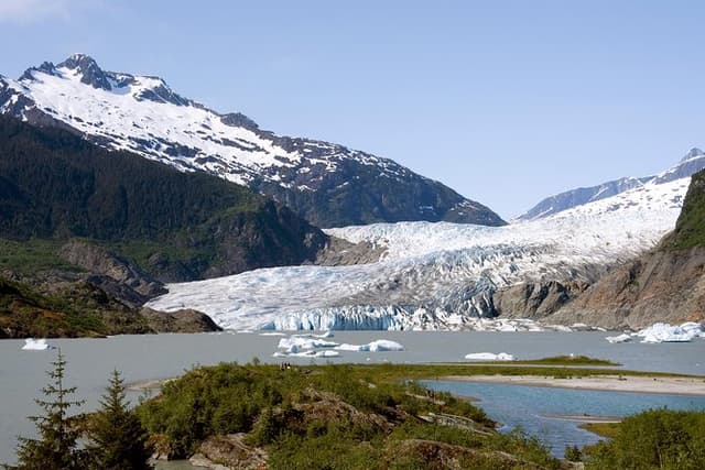 Juneau Wildlife Whale Watching & Mendenhall Glacier