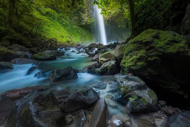 La Fortuna 4-in-1 Tour: Bridges, Volcano, Waterfall