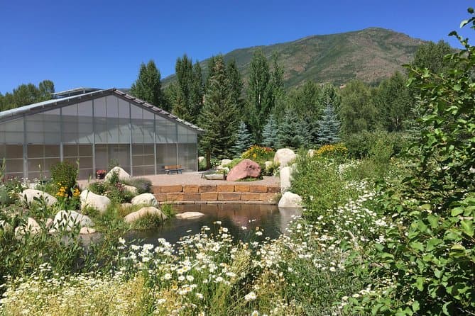 Authentic Aspen Adventures: Explore Beyond the Tourist Trails