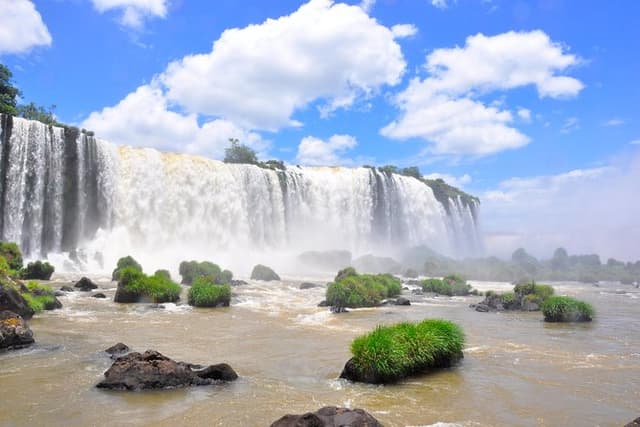 from Puerto Iguazu: Brazilian Falls Bird Park and Itaipu Dam