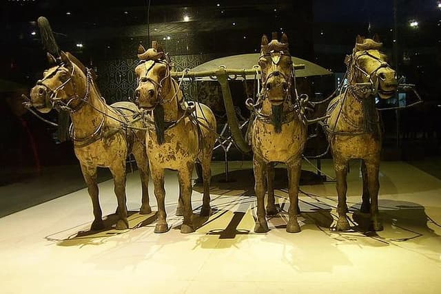Xi'an Private Tour: Terracotta Warriors and Banpo Museum