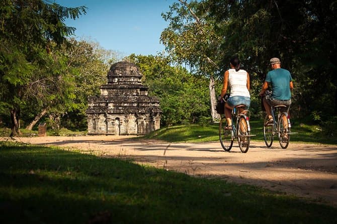 Top-Rated Bentota Travel Experiences