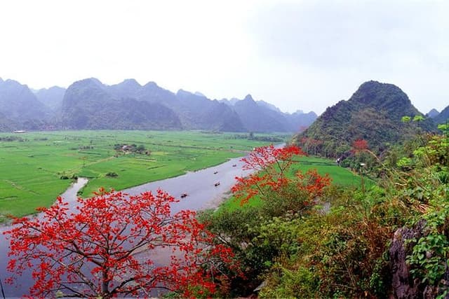 Perfume Pagoda Full-Day Guided Tour from Hanoi - All Inclusive