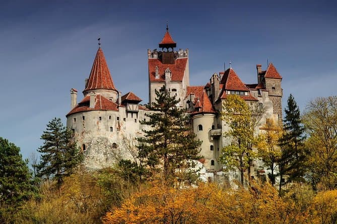 Best Bran Castle & Bear Sanctuary Tour from Brasov
