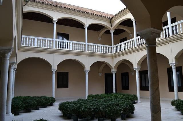 Private walking Tour of Thyssen Museum in Malaga