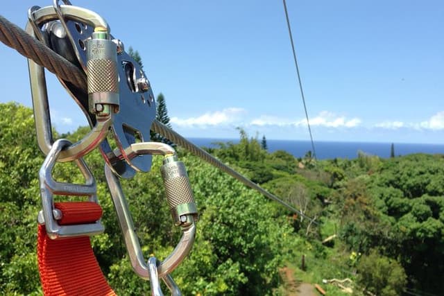 Maui Zipline Eco Adventure: 8 Lines through the Jungle