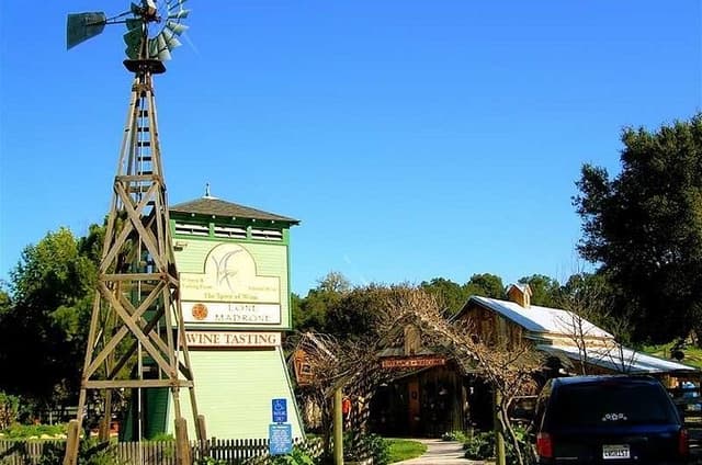 Semi-Private, Modified Hop-On Hop-Off Wine Tasting Tour from Cambria &San Simeon