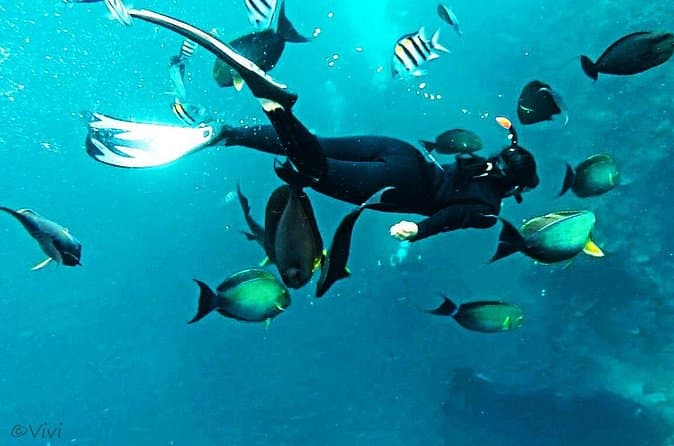 Tulamben Liberty Shipwreck: Dive & Snorkel Tours