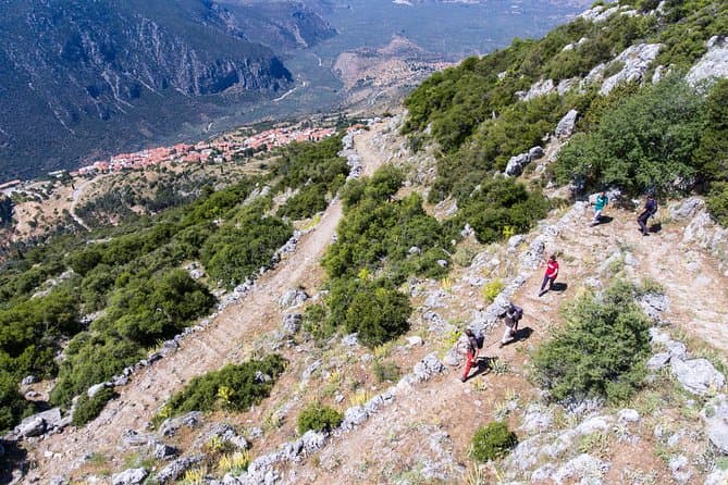 Explore Ancient Wonders on a Delphi Easy Hike Tour