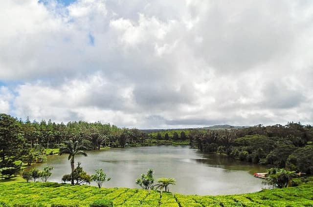 Private Craft Tour: Tea Factory - Rhumerie - Diamond Museum - Ship Model Factory