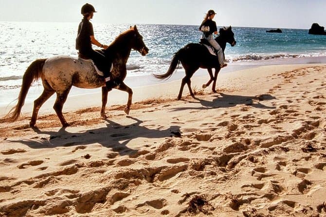 Top-Rated Krabi Horseback Riding Tours