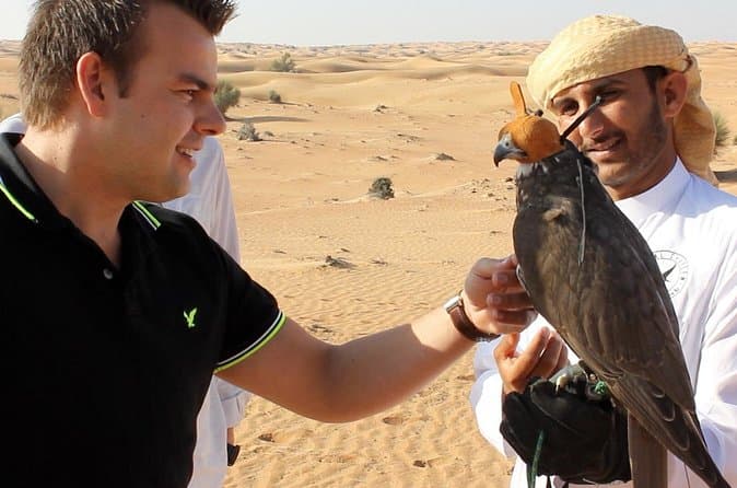 Book Top-Rated Falcon Shows Dubai