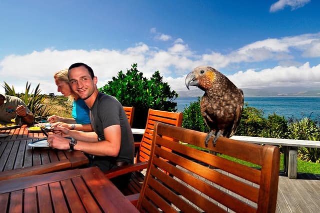 Kapiti Island Classic Guided Day Tour
