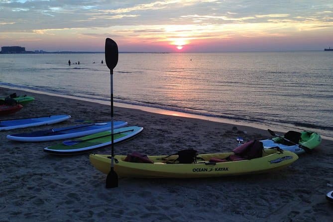 Best Virginia Beach Dolphin Kayak Tours & Wildlife Adventures