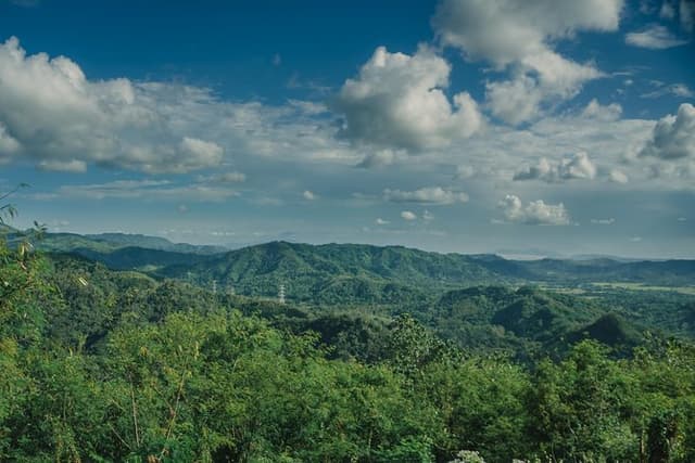 Skip the Line: Hike Eat Swim at Mount Purro Nature Reserve Ticket