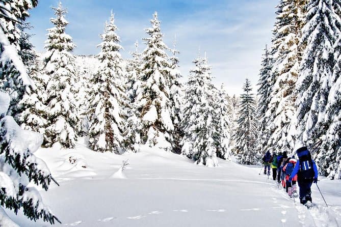 Best Guided Snowshoeing Adventures in Vancouver