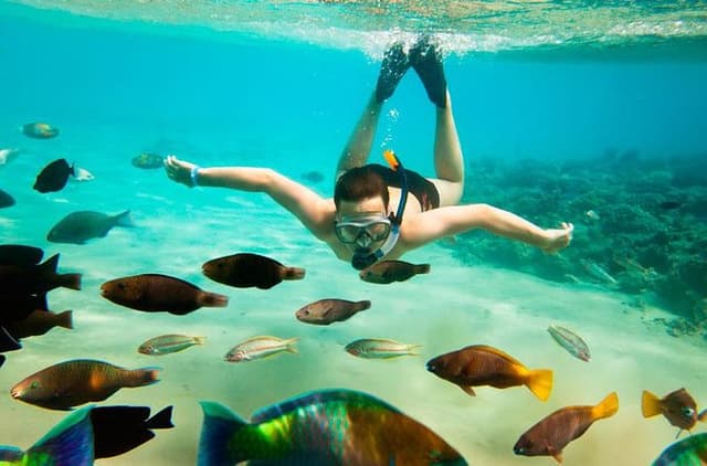 Cabo Catamaran Snorkel Cruise with Tequila Tasting & Shopping