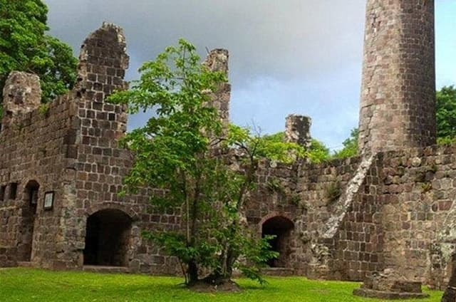 St Kitts Plantation and Beach Tour