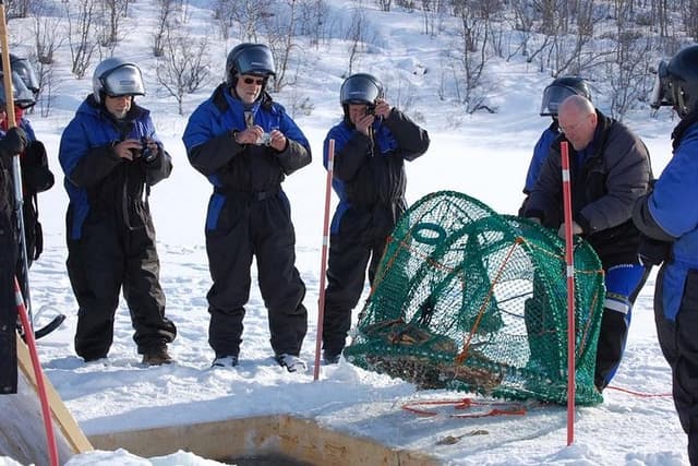 Full-Day Trip: King Crab Safari to Norway from Saariselkä Including Lunch