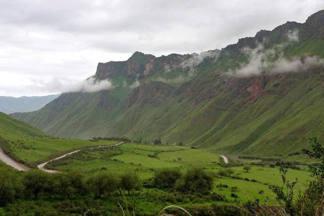 Full-day Cachi and Los Cardones National Park from Salta