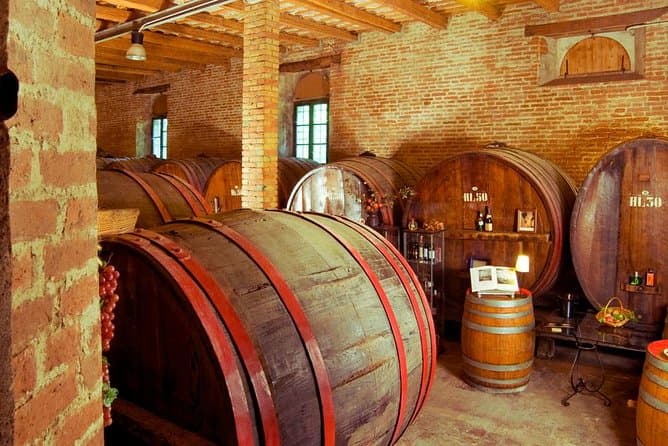 Best Wine Tours & Tastings Near Ancona