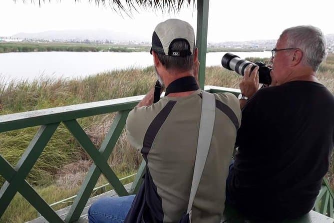Explore Lima's Hidden Wetland: Pantanos de Villa