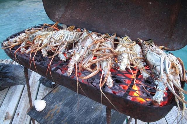Cook Your Catch-Private Island Picnic