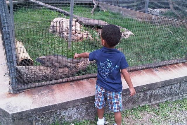 Tour Jamaica Zoo in Saint Elizabeth