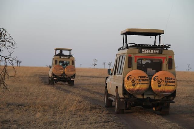 4 Days Game drives Safari Tarangire, Serengeti and Ngorongoro Crater