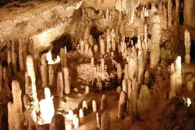 Half-Day Barbados Tour Harrisons Cave Hunte's Garden and Bathsheba