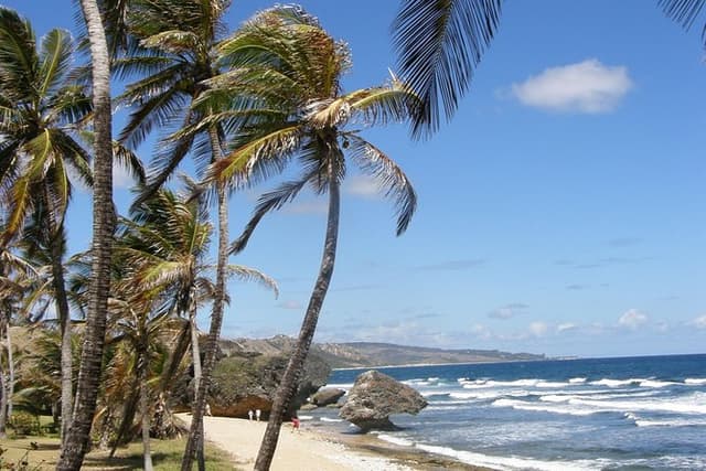 Taste of Barbados Full-Day Sightseeing tour
