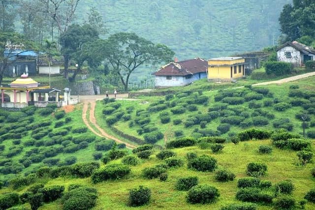Explore The Rustic Life Of Thekkady With Lunch