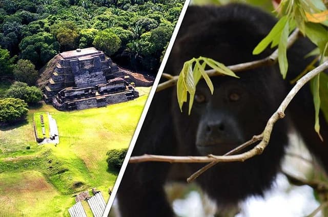 Altun Ha and Howler Monkey Sanctuary Tour