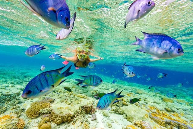 Punta Cana Snorkeling Cruise and Dune buggy Combo Adventure