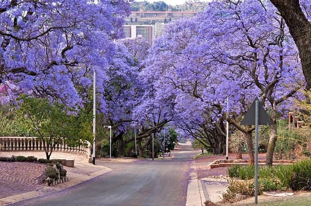 Pretoria City & Heritage Day Trip from Johannesburg