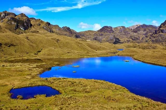Private Cajas National Park