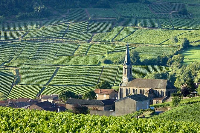 Paris Burgundy Wine Tour: Guided Tastings & Pairings