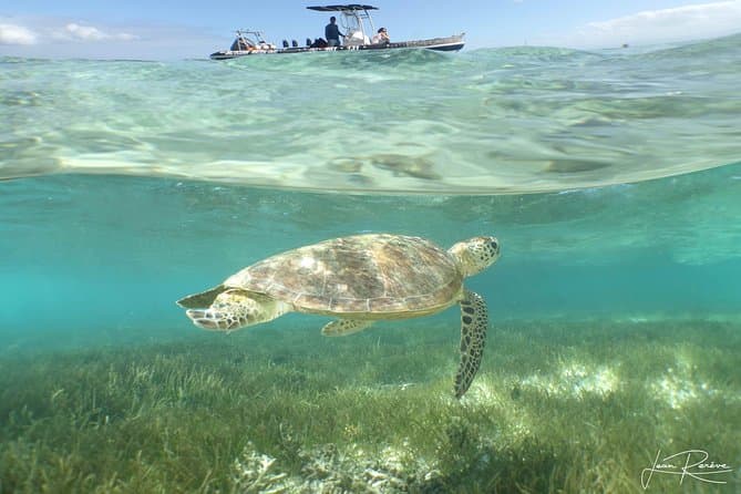 Top-Rated Duck Island Snorkeling Experiences