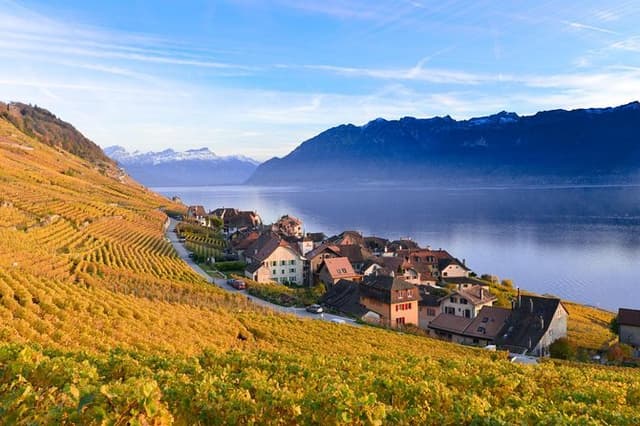 (KTG302) - Day Trip to Montreux & Château de Chillon from Geneva