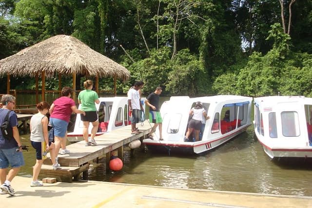 River Boat Expedition & Rainforest walk. Private Tour