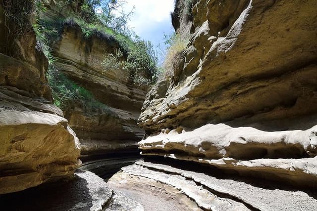 Small Group Budget Tour to Hells Gate National Park and Lake Naivasha Boat Ride