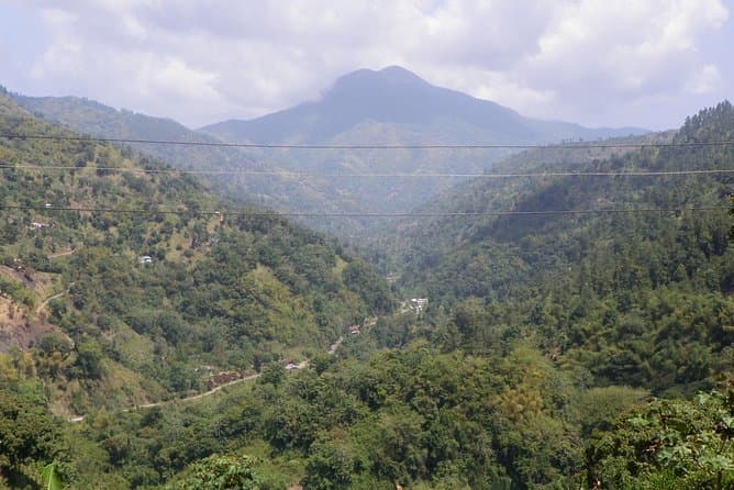 Best Blue Mountain Tours from Ocho Rios | Book Now