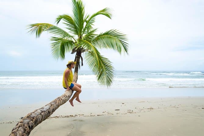 Best Coastal Tour of Trinidad Travel Experience