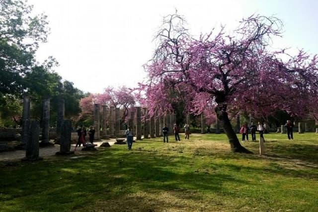 Katakolon Shore Ex: Skip-the-Lines Ancient Olympia & Olive market