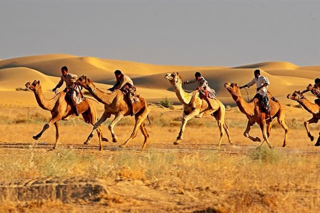Private Golden Triangle Tour With Ajmer Pushkar