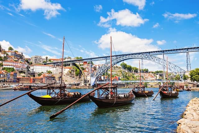 Porto Private Tour from Lisbon with Douro Cruise and Wine Tasting