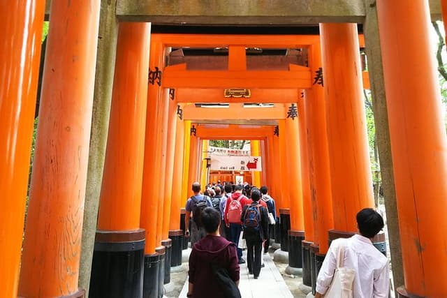 Kyoto Early Riser Golden One-Day Walking Tour