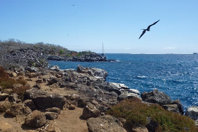 North Seymour Day Trip Galapagos